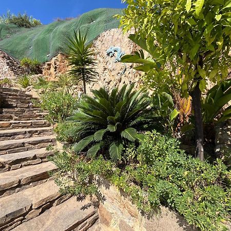 Meuble Tourisme 4*, Les Pieds Dans L'Eau, Villa Las Palmeras La Londe-les-Maures Exterior foto