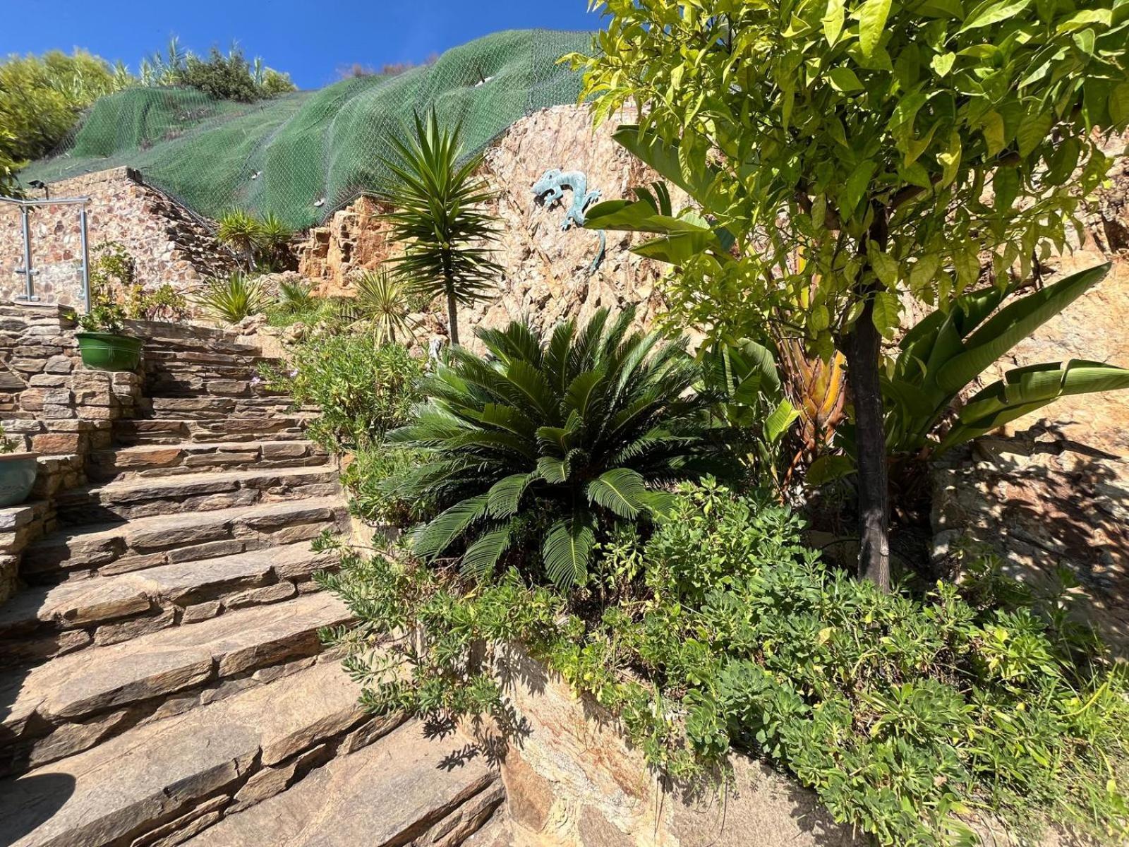 Meuble Tourisme 4*, Les Pieds Dans L'Eau, Villa Las Palmeras La Londe-les-Maures Exterior foto